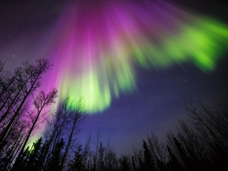 Citizen science for the aurora